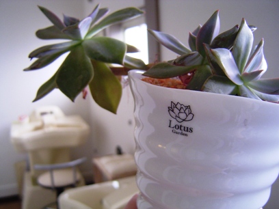 20060228_103036.jpg