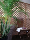 20070820_sakata.jpg