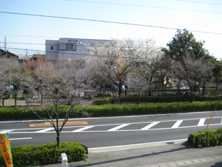 a.jpg