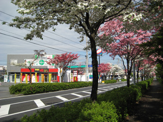 IMG_0391.jpg1.jpg