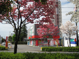 IMG_0393.jpg2.jpg