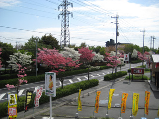 IMG_0396.jpg3.jpg