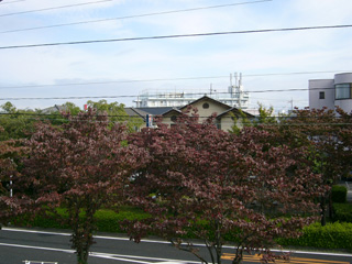 koyo-P1060168.jpg